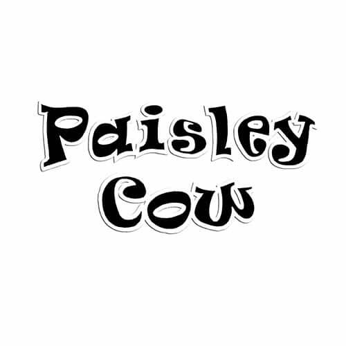 Paisley Cow
