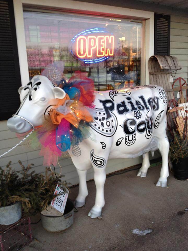 The Paisley Cow