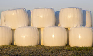 silage bales